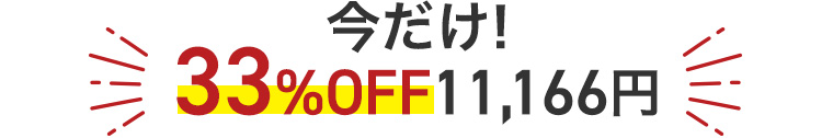 33%OFF12,950円